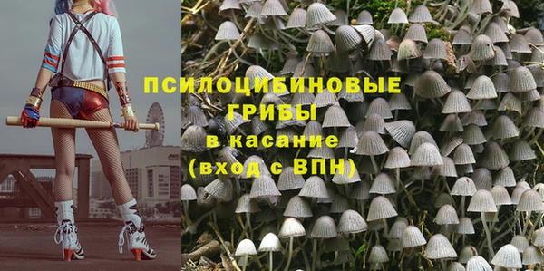 амф Абаза