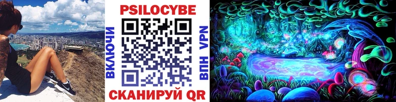 KRAKEN зеркало  Вилючинск  Псилоцибиновые грибы Magic Shrooms 
